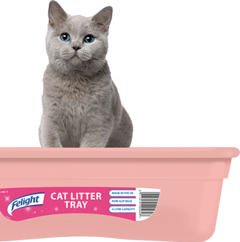 litter box